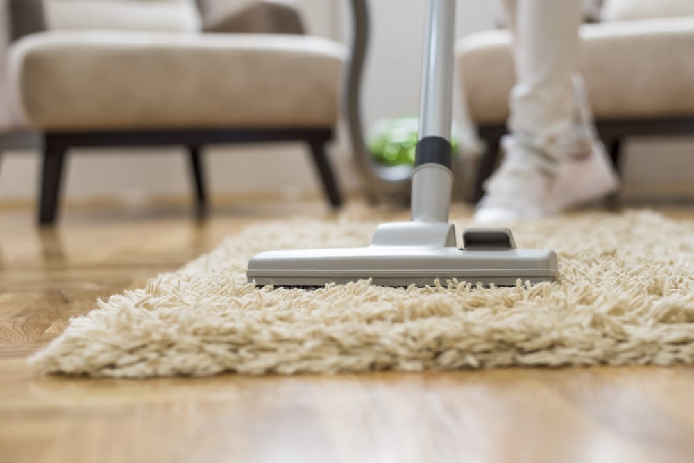 Residential Carpet Cleaning